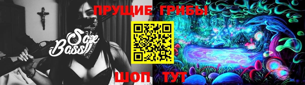 Галлюциногенные грибы Psilocybe Дедовск
